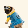 Minions pour chiens