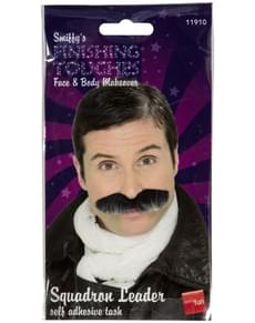 Baffi da comandante di aviazione