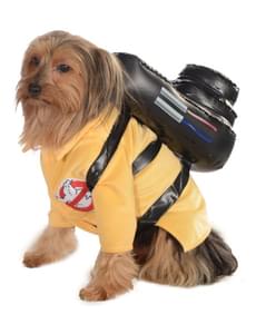 Costume de SOS fantôme pour chien