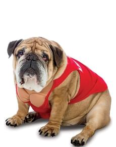 Rettungsschimmer Kostüm für Hunde