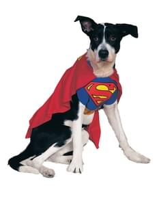 Costume Superman chien
