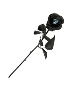 Musta ruusu silmällä