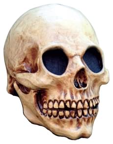 Masque Head Skull Halloween