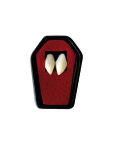 Dents vampire adulte