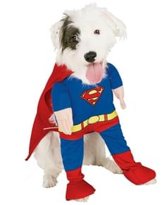 Superman Dog Costume