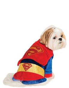 Dog's Shiny Superman Costume